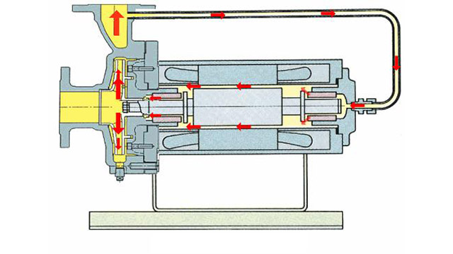 A Comprehensive Analysis of Pumps: From Basic Principles to the Selection of High-Quality Supplier